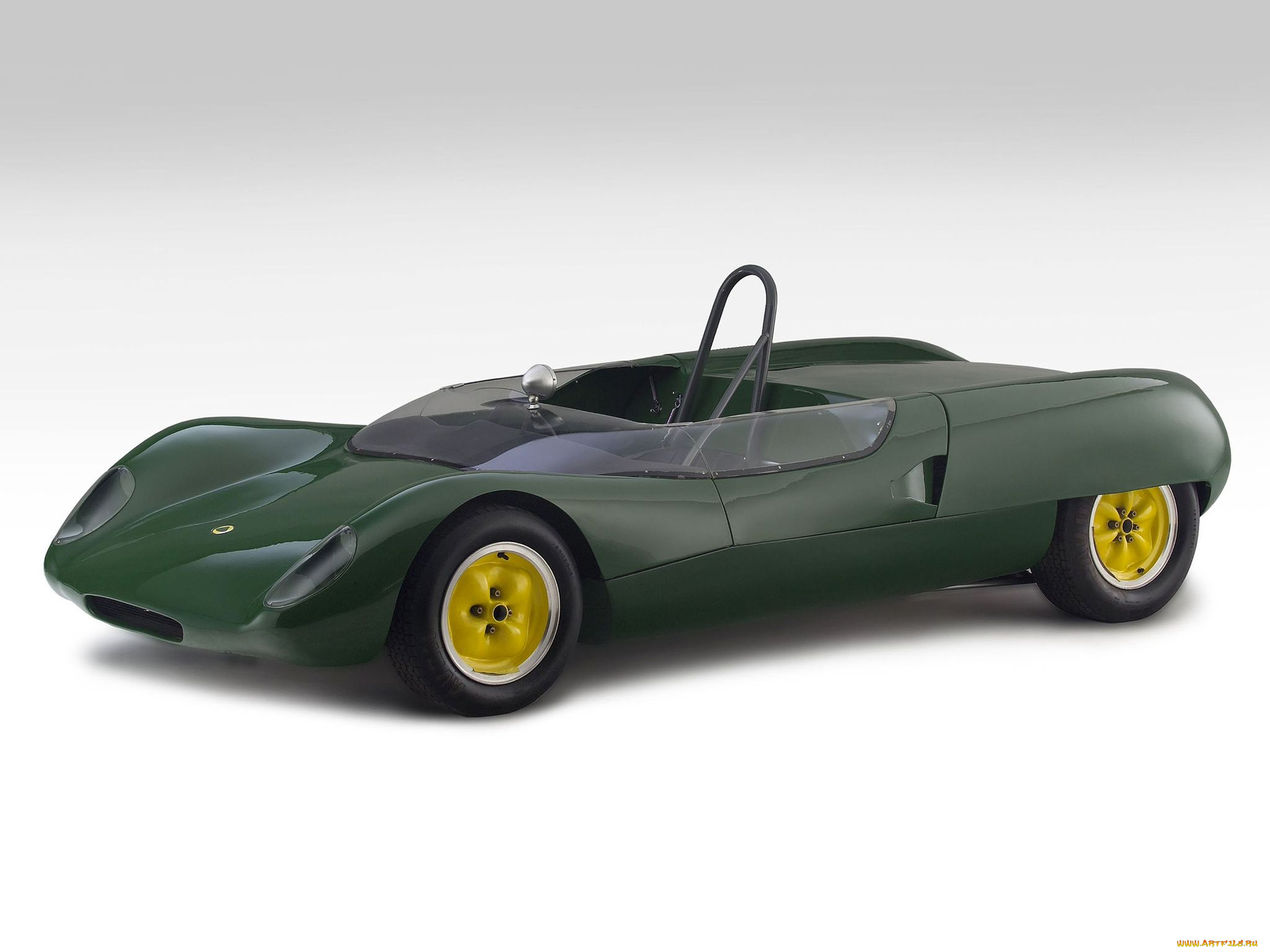 , lotus